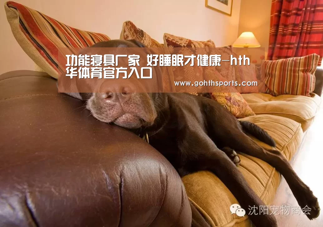 hth华体育官方入口