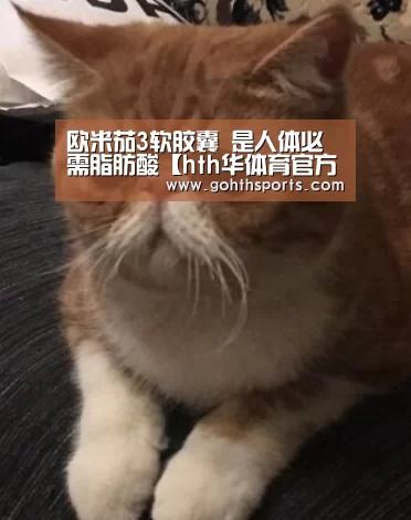 欧米茄3软胶囊 是人体必需脂肪酸【hth华体育官方入口】(图1) 华体会官网入口