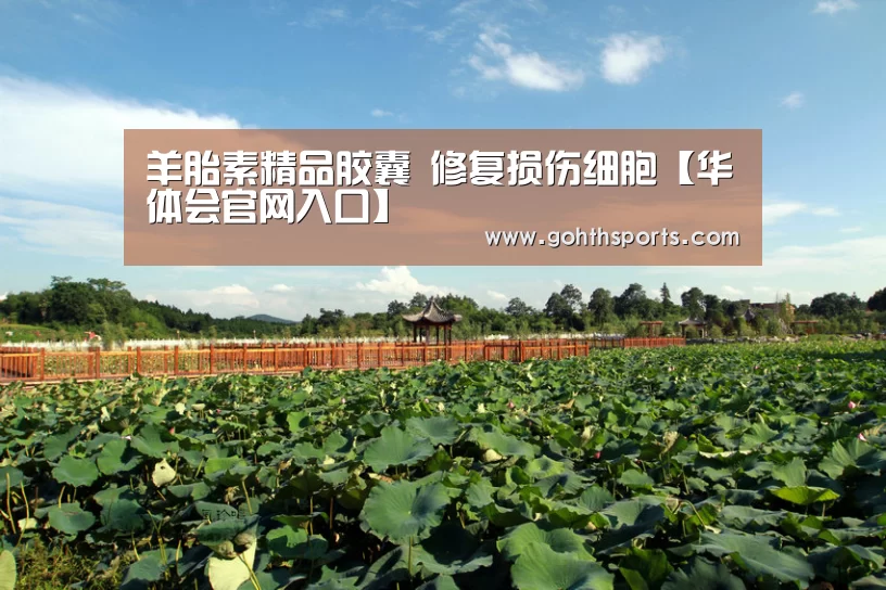羊胎素精品胶囊 修复损伤细胞【华体会官网入口】(图1) 华体会首页