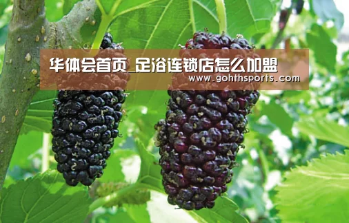 华体会首页_足浴连锁店怎么加盟(图1)
