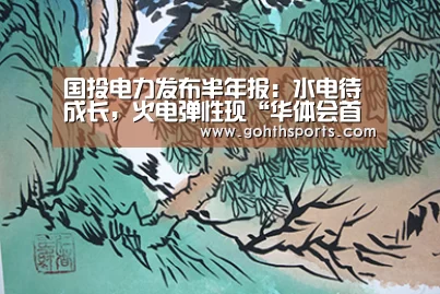 国投电力发布半年报：水电待成长，火电弹性现“华体会首页”(图1)