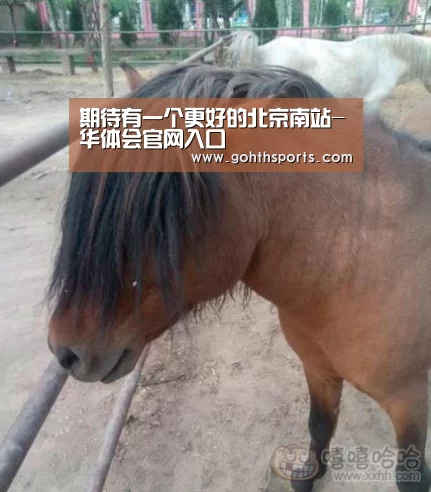 华体会首页