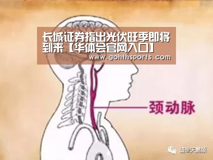 长城证券指出光伏旺季即将到来【华体会官网入口】(图2) 华体会官网入口