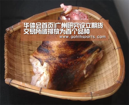 华体会首页|广州研究设立期货交易所碳排放为首个品种(图1) 华体会官网入口