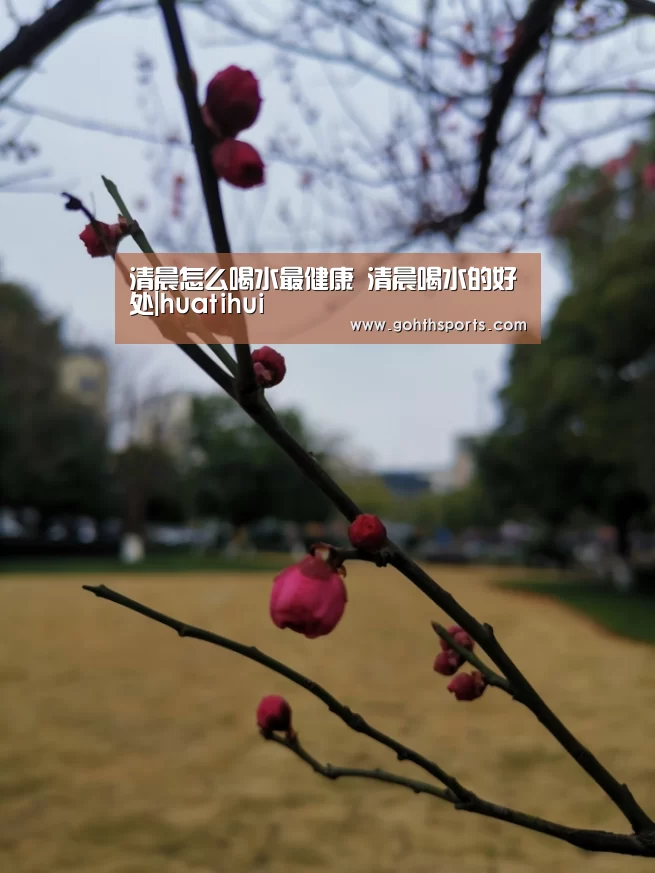 清晨怎么喝水最健康 清晨喝水的好处|huatihui(图3) hth华体育官方入口