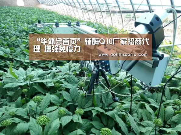“华体会首页”辅酶Q10厂家招商代理 增强免疫力(图1)